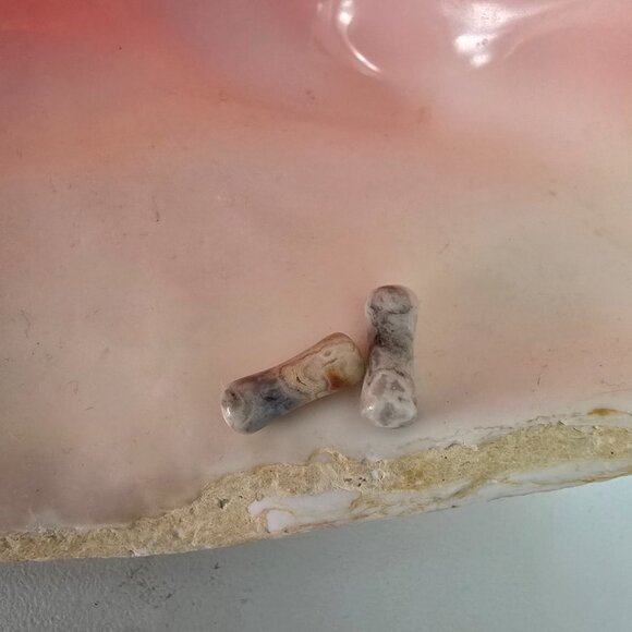 Pair Crazy Lace Agate organic plugs gauge double flare stretchers 4 mm 6G NWT - Picture 3 of 3